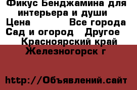 Фикус Бенджамина для интерьера и души › Цена ­ 2 900 - Все города Сад и огород » Другое   . Красноярский край,Железногорск г.